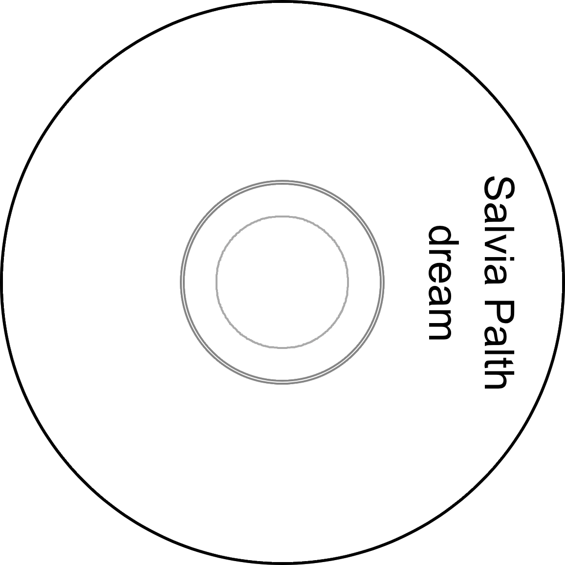 CD for the song dream by Salvia Palth